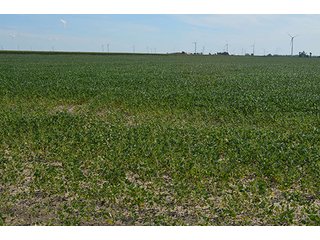 Property photo 25 - 233 +/- Acres Offered in 3 Tracts, Ohio Land Auction
